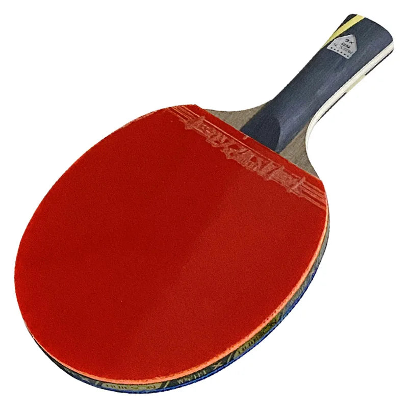 HUIESON 6-Star Table Tennis Racket Set - Complete 2-Player Starter Package with Balls