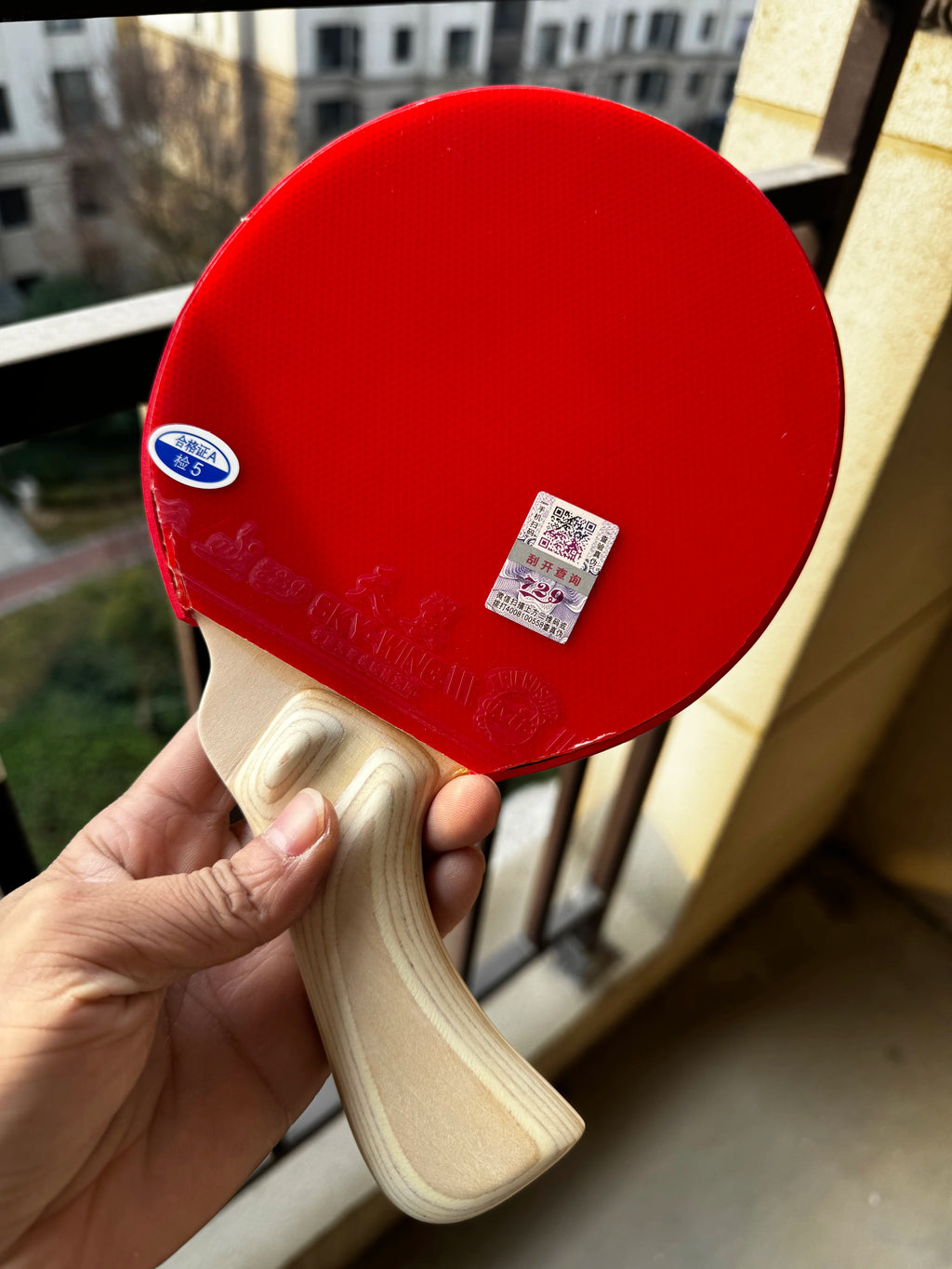Special Shaped Table Tennis Racket 6mm Thickness Grasp The Diagonal Handle Professional Bottom Plate Developed By Peng Daoxiu
