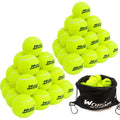 WOED BATENS 48 Packs Tennis Ball Premium Tennis Balls for Training Tennis Balls for Dogs Include Carrying Bag(Yellow Durable High Elastic)